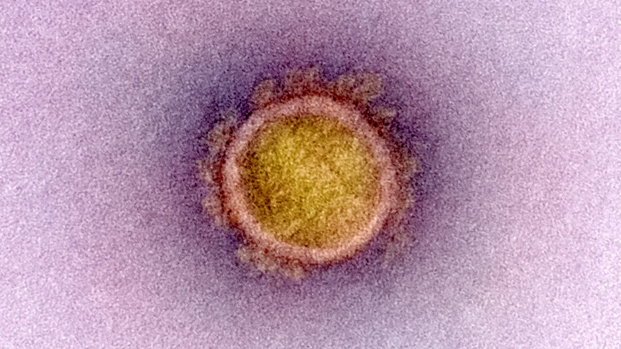 Coronavirus: Who's Going to Die