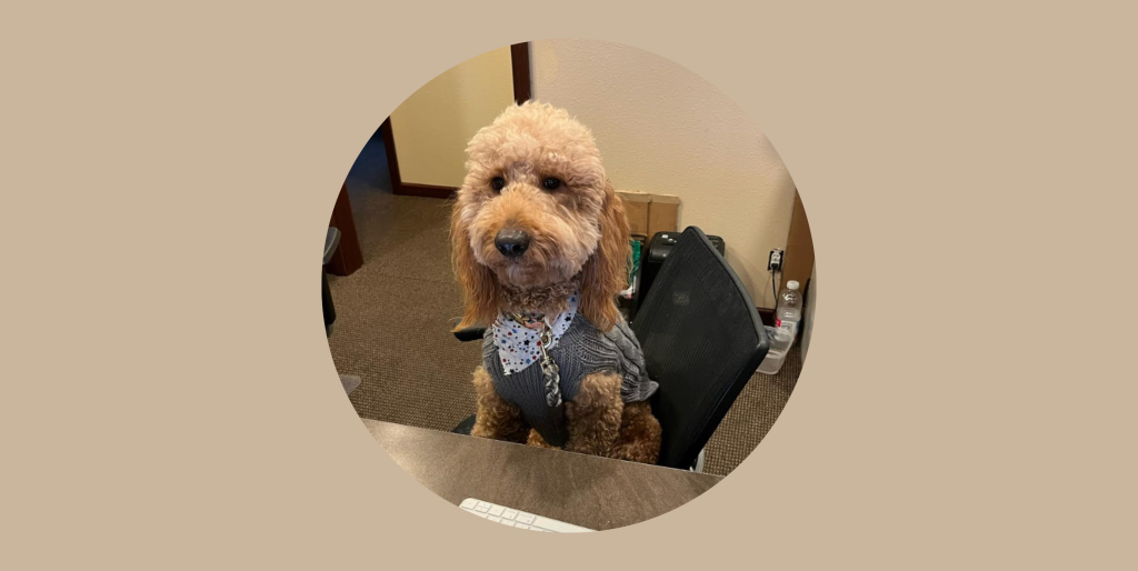 Progressive Psychiatric Clinic Uses Spruce to Manage Diverse Patient